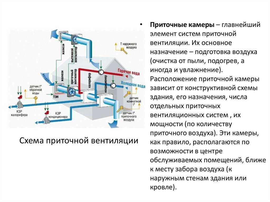 Как выбрать вытяжку для кухни над плитой - советы профессионалов
