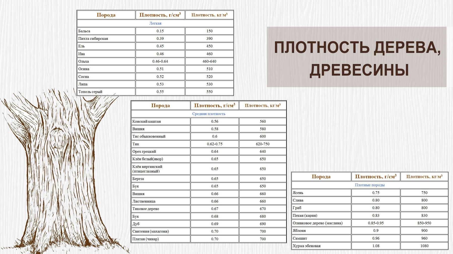 Потолок в бане: три способа монтажа потолочного перекрытия