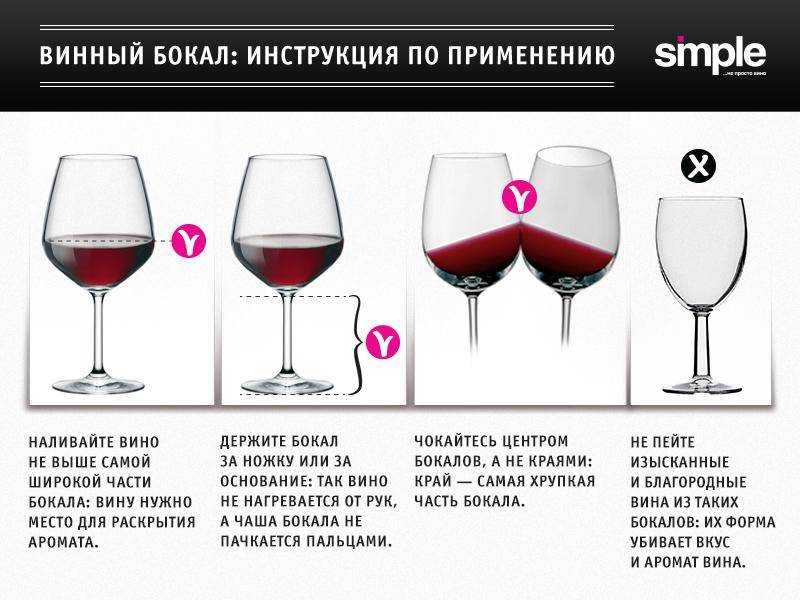 Бокал или рюмка? алкогольный этикет для читателей «белпрессы». новости общества