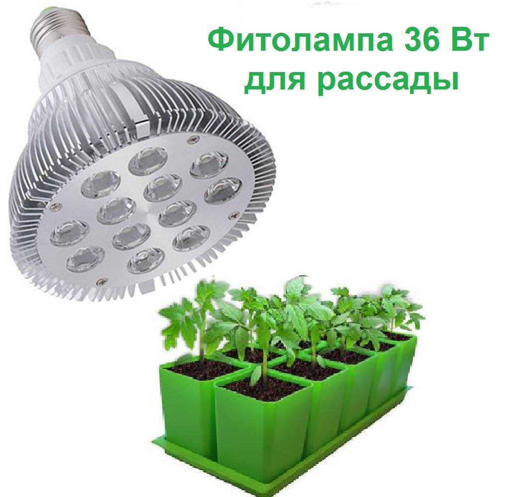 Лампы для выращивания рассады. какие фитолампы для рассады лучше.