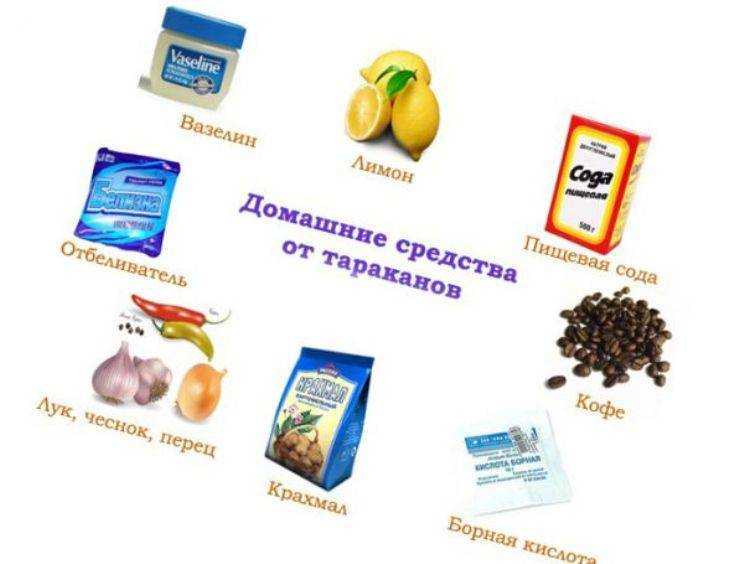 Как избавиться от тараканов в квартире навсегда в домашних условиях