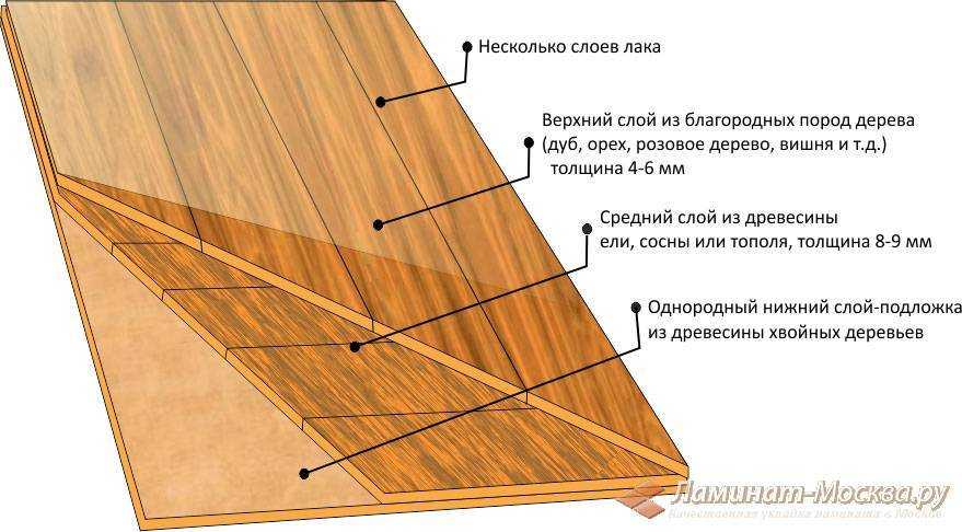 Массивная доска для пола: виды и способы укладки