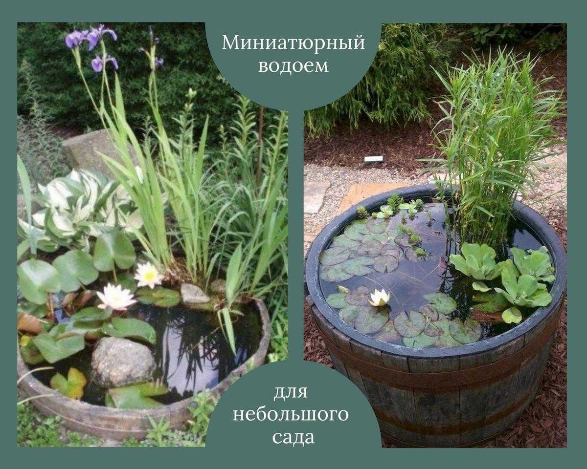 Бочки: 10 способов полезного применения на даче