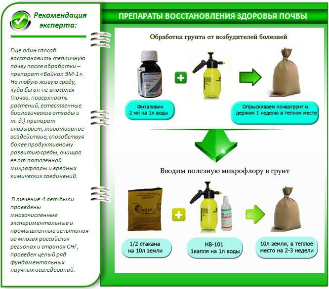 Обработка теплицы бордосской смесью осенью. как провести дезинфекцию теплицы из поликарбоната осенью от паразитов и вредителей: полезные советы огородникам. способы дезинфекции почвы
