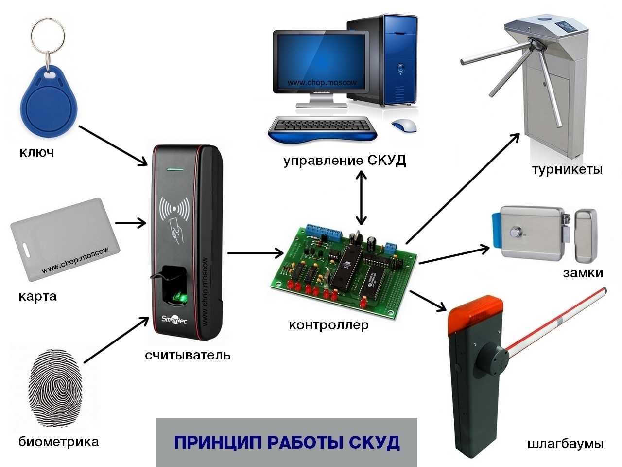 СКУД — системы контроля и управления доступом Что это и как устроено Виды и функционал СКУД Оборудование для систем контроля Особенности СКУД для различных типов объектов