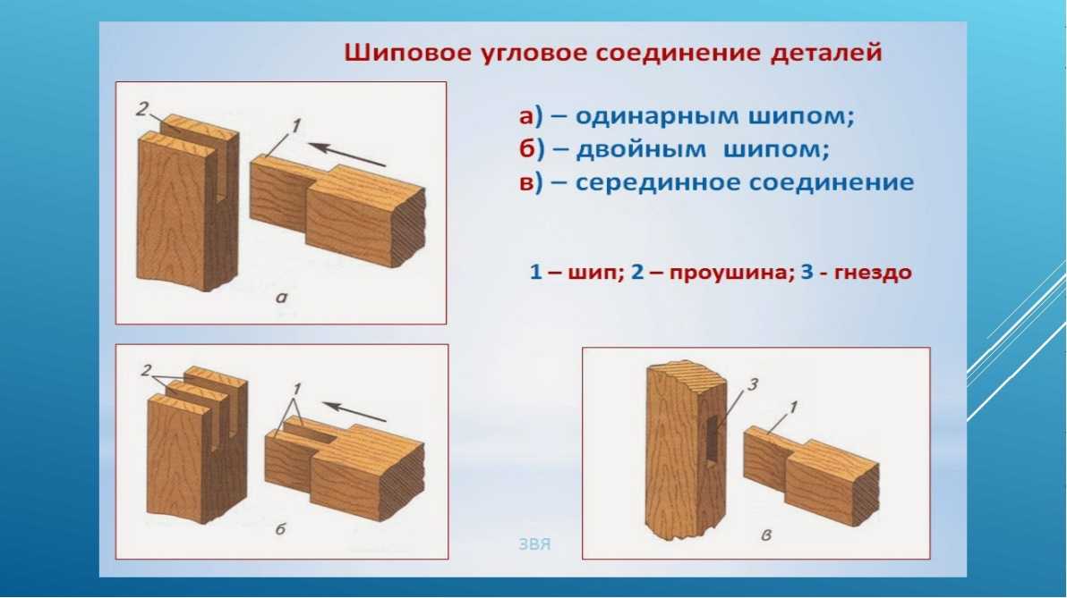 Качество древесины и лесопродукции. часть 5