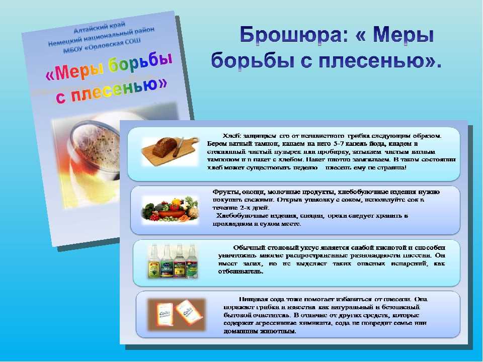 Плесень в квартире, фото / средство от вредных спор дома, видео