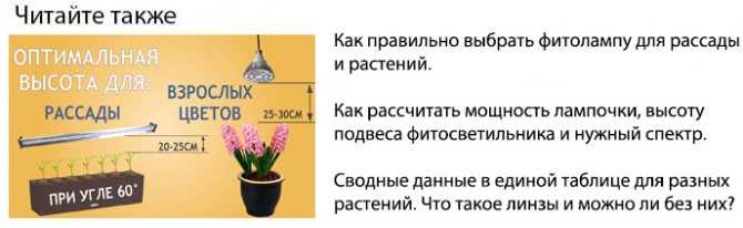Подсветка для рассады. какие лампы для рассады лучше – ответит рассада.