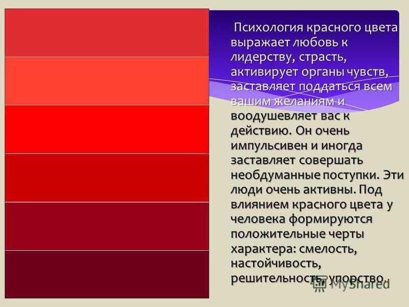С чем сочетается бордовый цвет в одежде, выбор подходящих оттенков