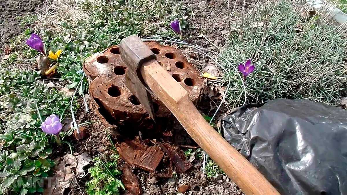 Как убрать пень без корчевания селитрой
