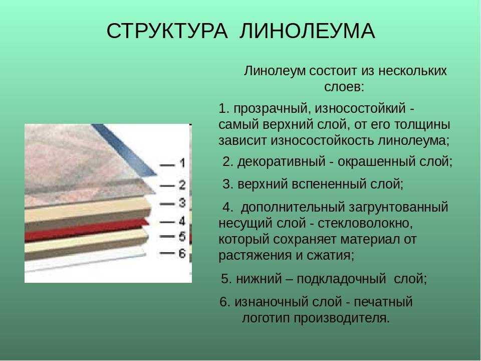 Какой линолеум лучше на вспененной основе или войлочной?