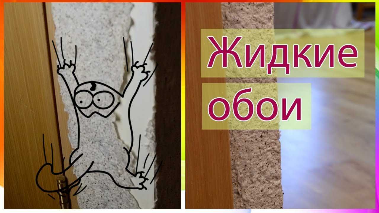 Советы, как отучить кота царапать мебель и обои