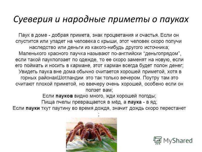 Примета: порвалась цепочка, крестик упал на пол