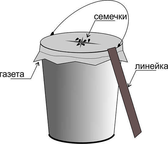 Мышеловка своими руками из подручных материалов в различных моделях со схемами +полезные советы по изготовлению и эксплуатации
