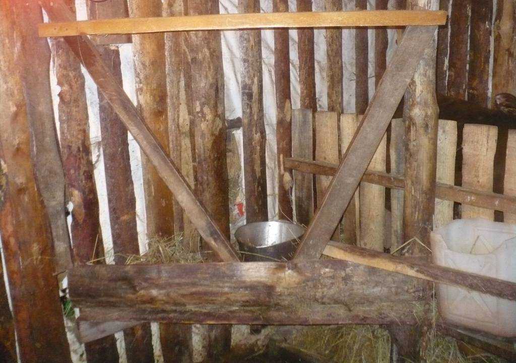 Корыта для телят. кормушка для скота своими руками: пошаговые инструкции