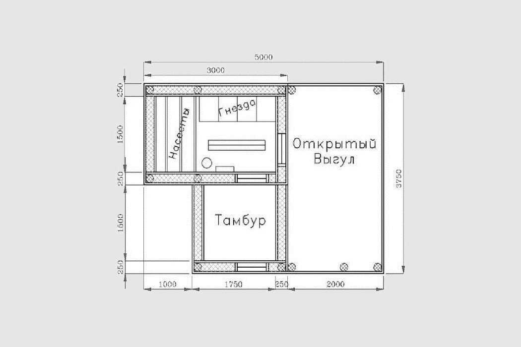 Обустройство курятника: как правильно обустроить внутри своими руками, фото