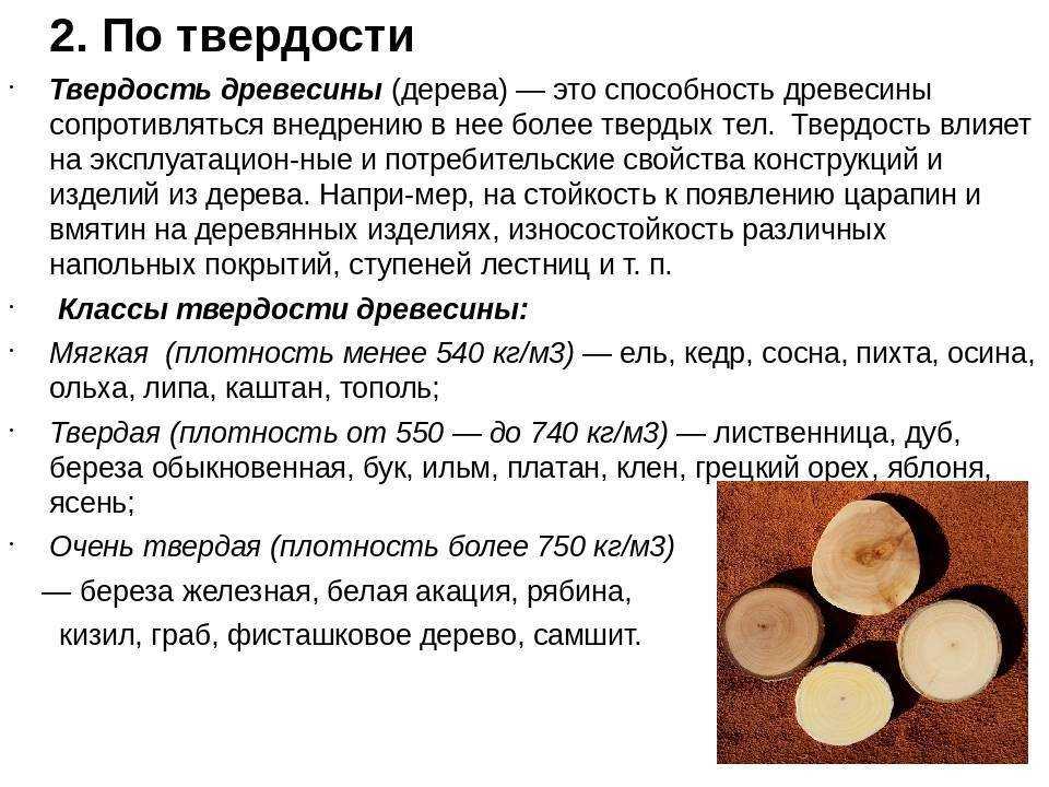 Оцилиндрованное бревно – характеристики, размеры, плюсы и минусы