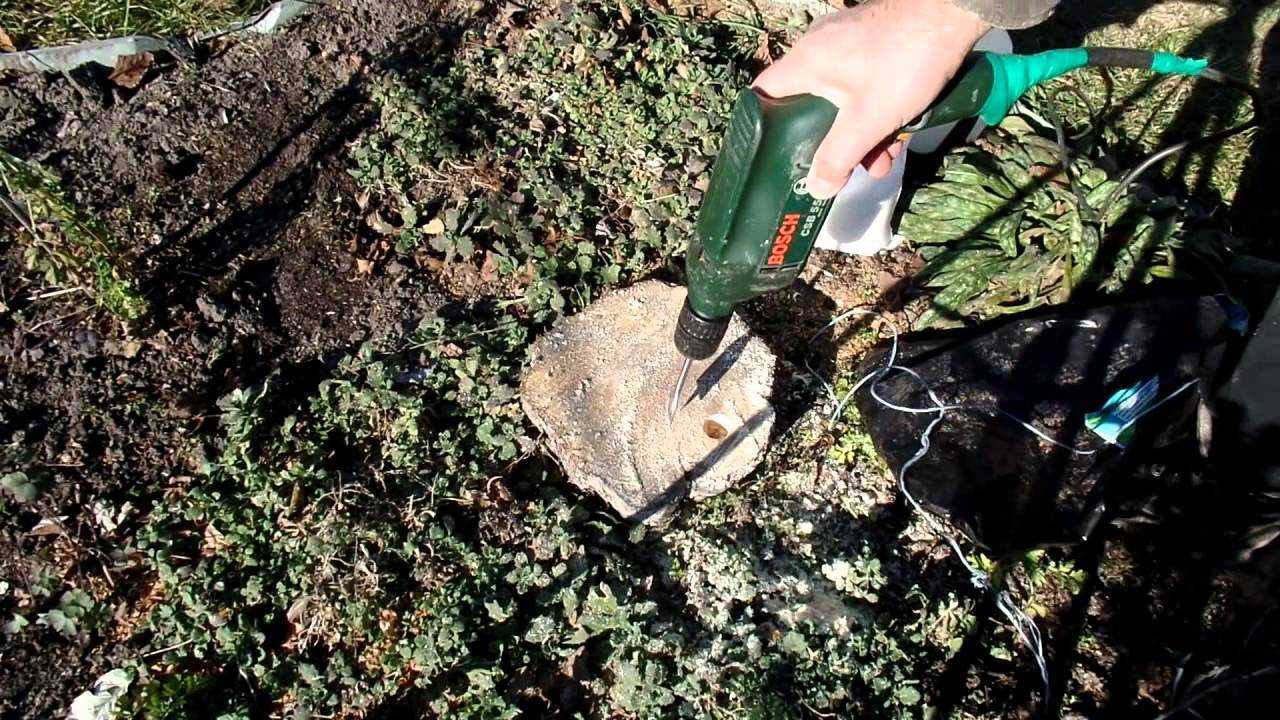 Удаление пней на участке без корчевания: 3 верных подхода
