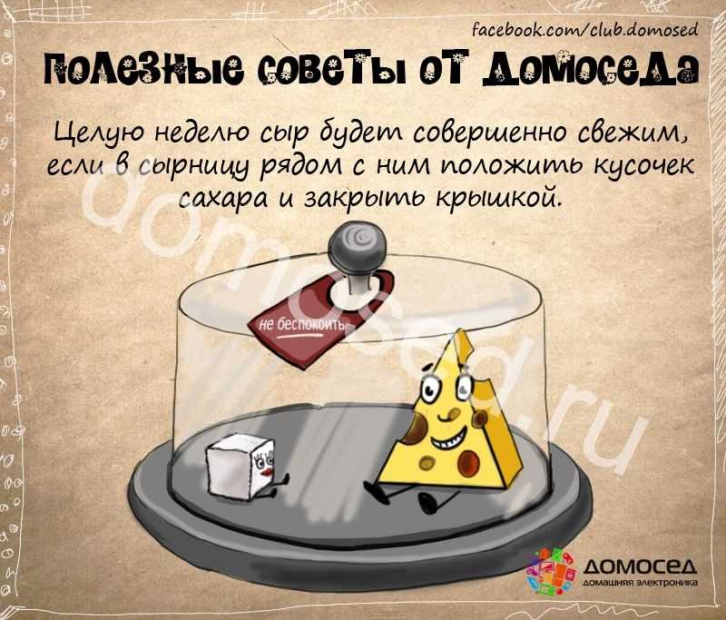 Как убрать плесень в ванной (на герметике, на потолке и плитке стен, с силикона, на шторе), обзор средств для применения в домашних условиях