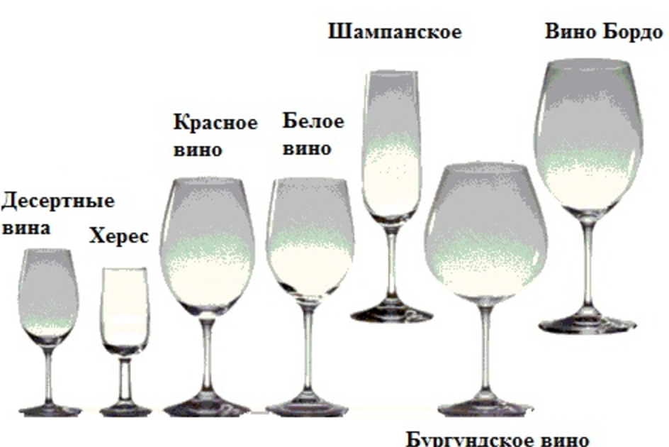 🥂 как выбрать бокалы для шампанского: виды, формы, материалы, модели, производители, уход