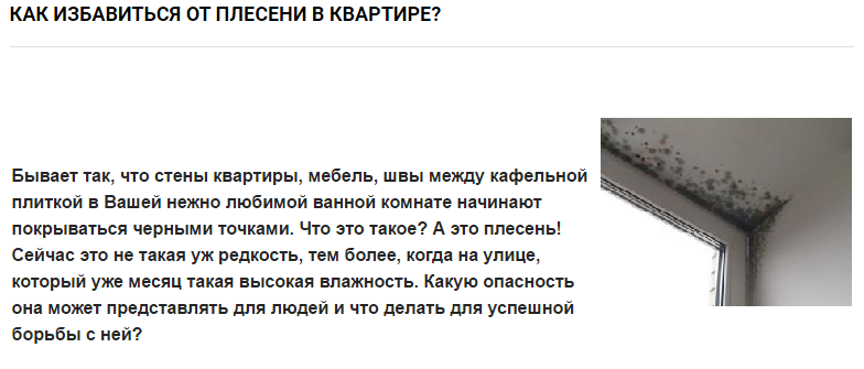 Как навсегда удалить грибок со стен в ванной и других помещениях в квартире: причины появления, виды плесени, способы борьбы и профилактика |+отзывы