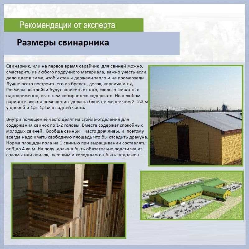 Свинарник своими руками: пошаговая инструкция + чертежи и расчеты с обзором используемых материалов. топ-100 фото готовых решений