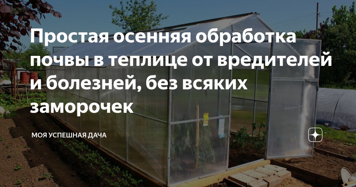 Дезинфекция теплицы: обработка осенью и весной