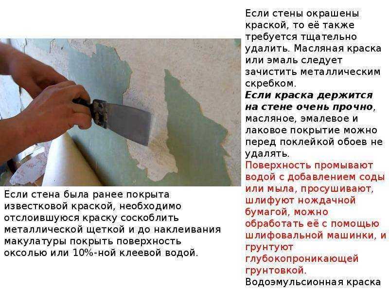 Особенности грунтовки стен перед поклейкой обоев: 50 фото и 2 видео