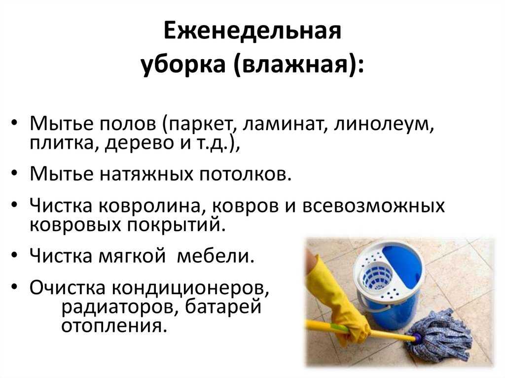 Как помыть окна без разводов: средства, инструменты и способы чистки окон