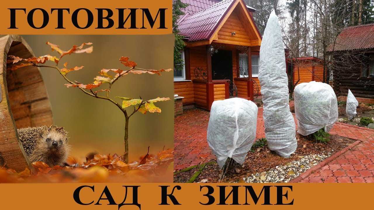 🏡 10 секретов подготовки дачи к зиме: ничего не забыть и не упустить