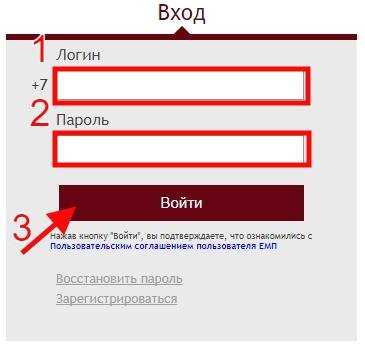 Личный кабинет на сайте электронного дневника мос.ру