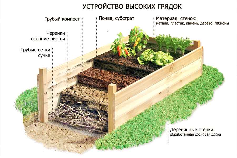 Устройство высокой грядки: основые принципы